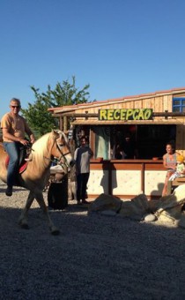 Horse Reception