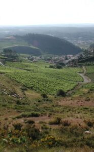 Portugal Landscape